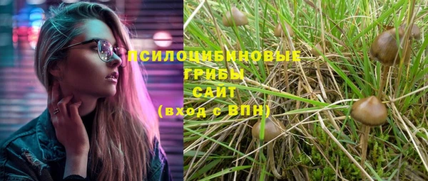 крисы Белокуриха