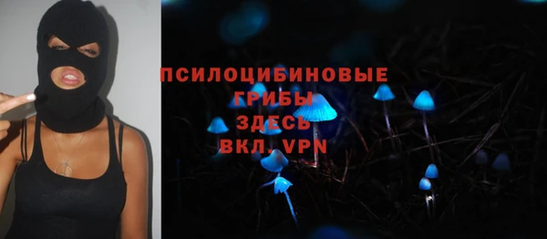 молекула духа Беломорск