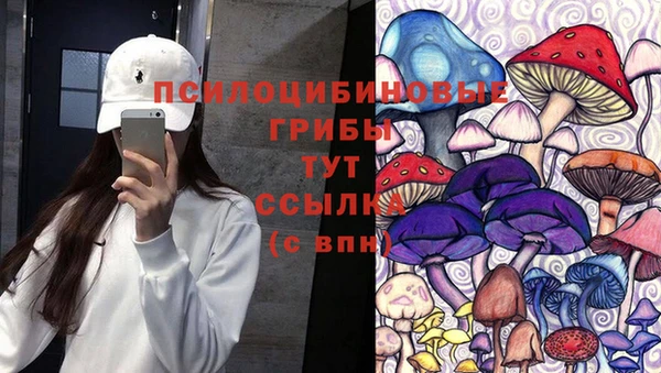 молекула духа Беломорск