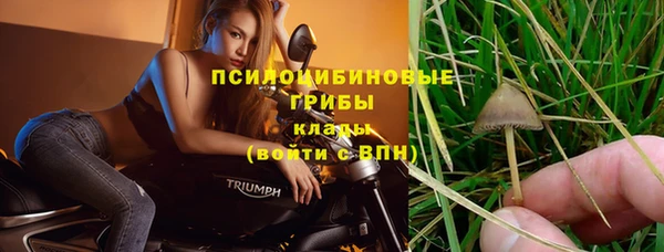 молекула духа Беломорск