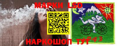 прущие крисы Дубна