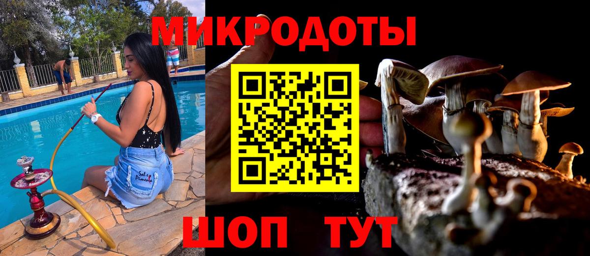 Буйнакск  Псилоцибиновые грибы прущие грибы  Галлюциногенные грибы прущие грибы  Вход с VPN 