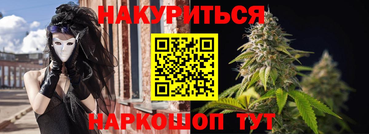 Канабис планчик  Марихуана сатива  Вход с VPN  Буйнакск  Шишки марихуана OG Kush 
